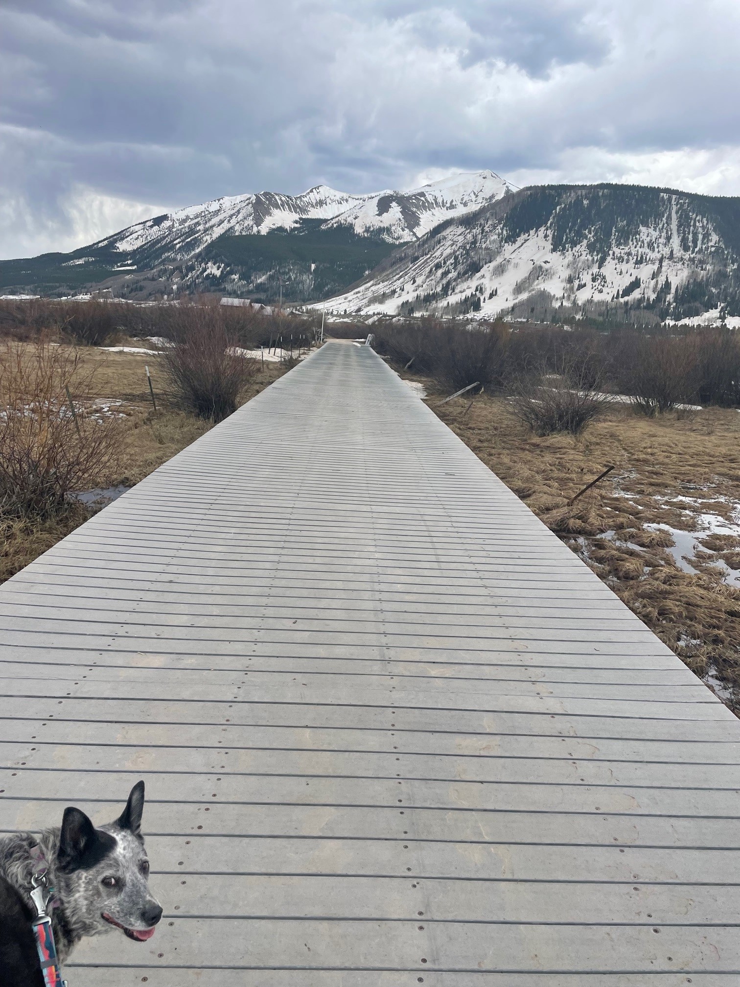 Picture of the boardwalk bridge along the recreation path between the towns of Crested Butte and Mt. Crested Butte. 